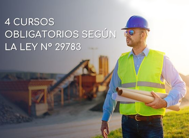 4 cursos obligatorios Ley 29783
